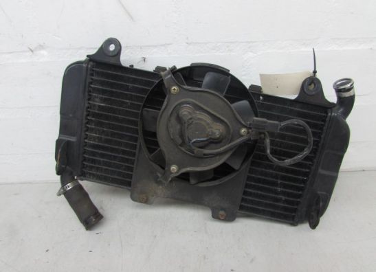 Kuhler Yamaha FZ 750
