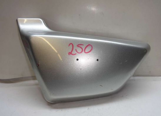 Seitenverkleidung links klein Kawasaki Z 250