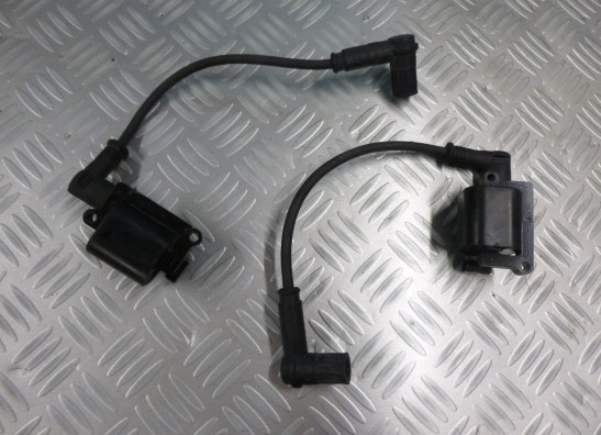 Bobine Ducati Scrambler 2015-2016