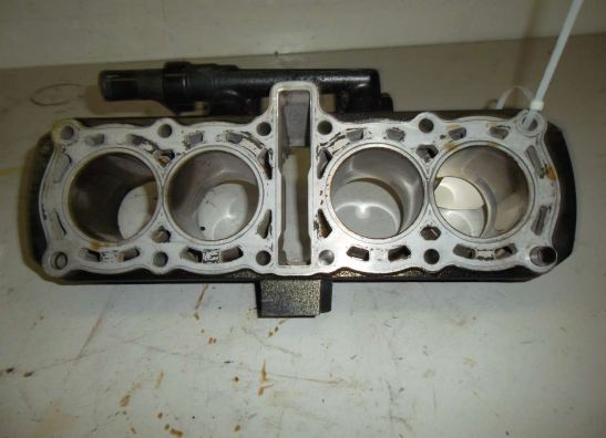 Motorblok diverse Yamaha FAZER 600