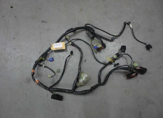 Kabelboom Honda CBF 600