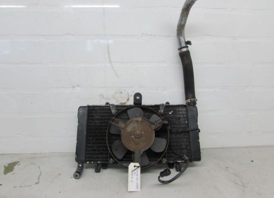 Radiateur Honda CBR 1000 F