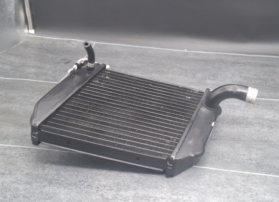 Radiator Buell 1125 R