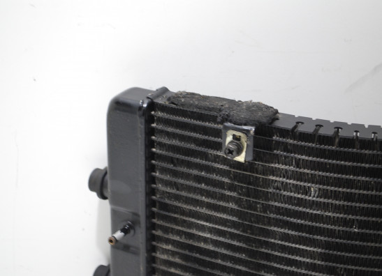 Radiator Yamaha GTS 1000