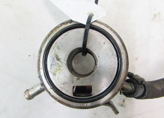 Motorblok diverse Yamaha FAZER 600