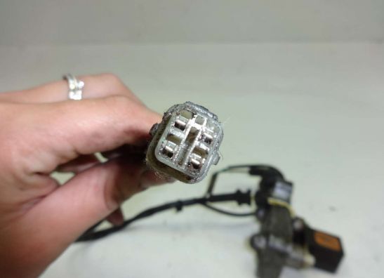 Pickup coil Honda ST 1100 Pan European