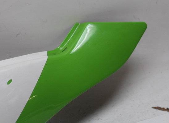 Rechter achterkant Kawasaki ZXR 750 R