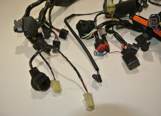 Wire Harness Kawasaki Z 750