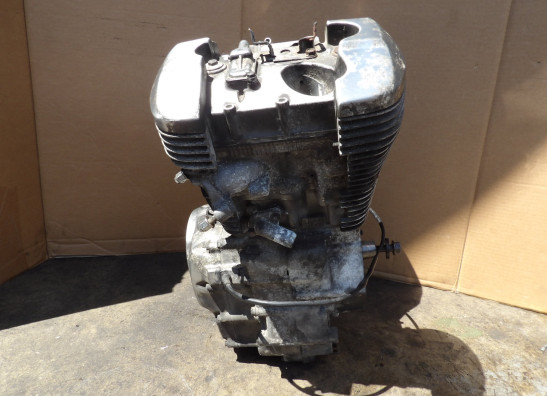 Motorblok Honda VT 750 Shadow