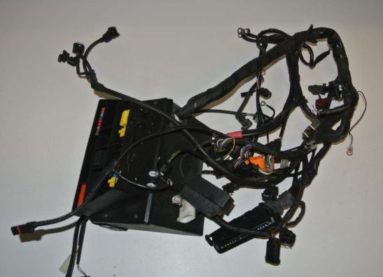 Kabelbaum BMW R 1150 R 2001-2005