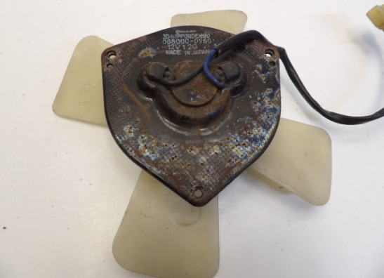 Fan Kawasaki ZX 10 R