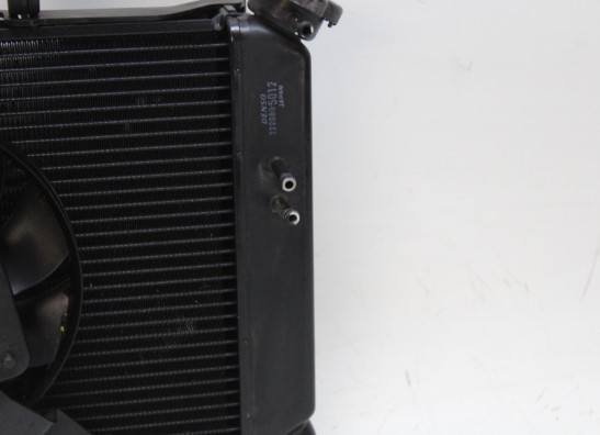 Radiateur Yamaha XJ 6 N