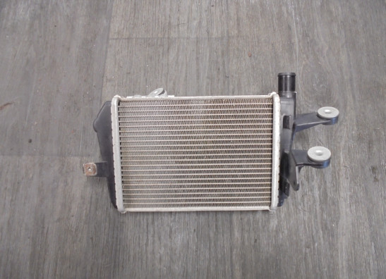 Radiateur BMW R 1250 GS Adventure 2018-2020, 2021-2022