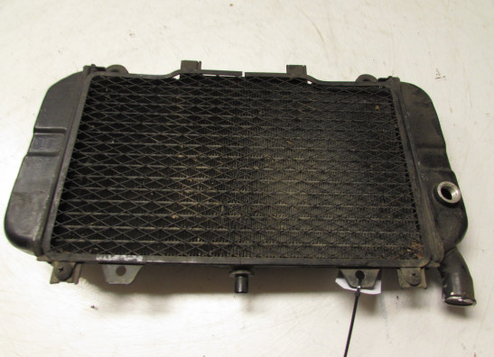 Kuhler Kawasaki ZZR 600