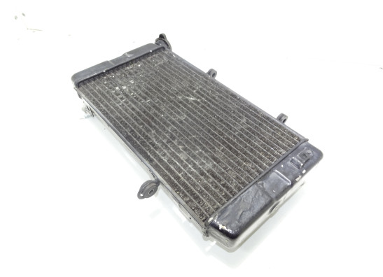 Radiator Suzuki DL 1000 V STROM