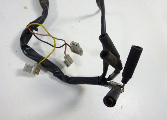 Achterlicht Ducati monster 600