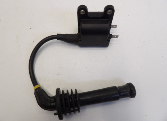 Bobine Triumph Thunderbird 900
