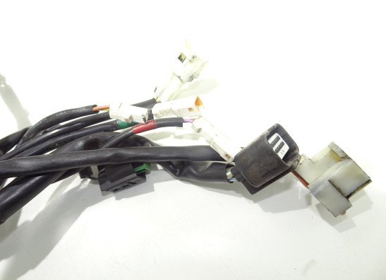 Kabelbaum KTM 1290 Super duke