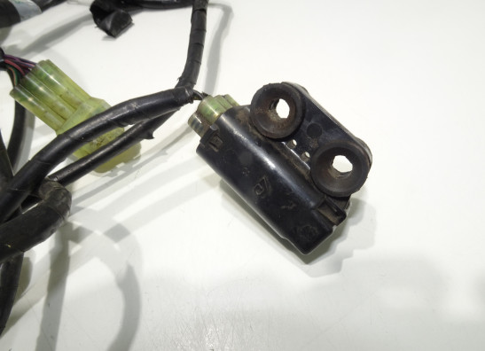 Kabelbaum KTM 1290 Super duke