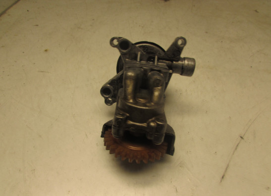 Motorblok diverse Yamaha V max