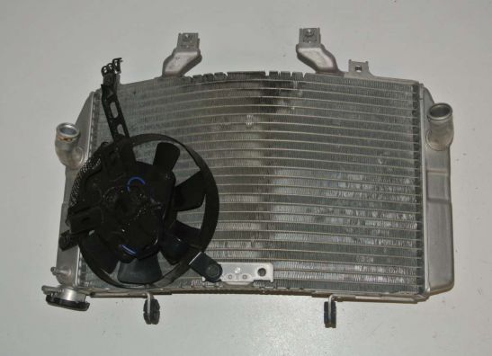Radiator Suzuki GSX R 1000