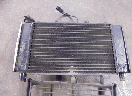 Radiateur Yamaha FZ6