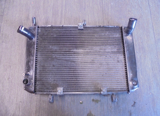 Radiator Suzuki GSR 600