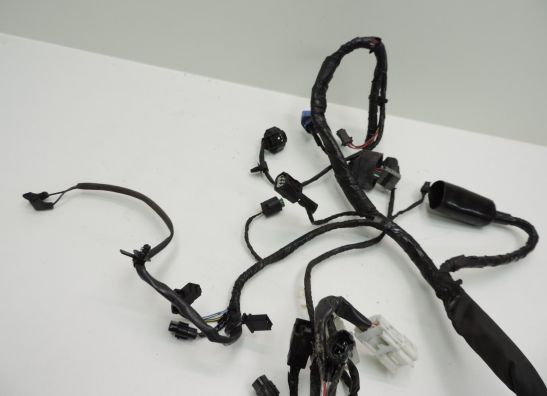 Wire Harness Kawasaki ER 6