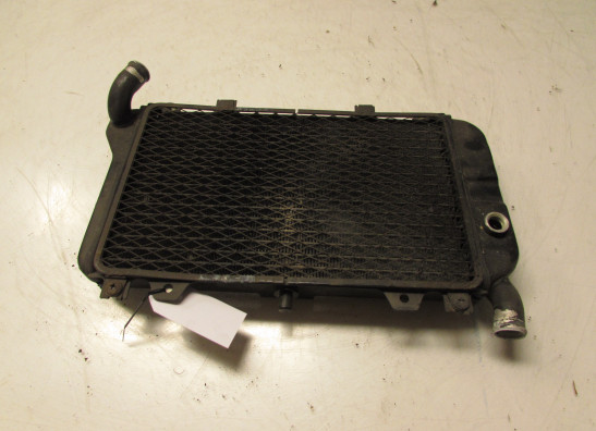 Radiator Kawasaki ZZR 600