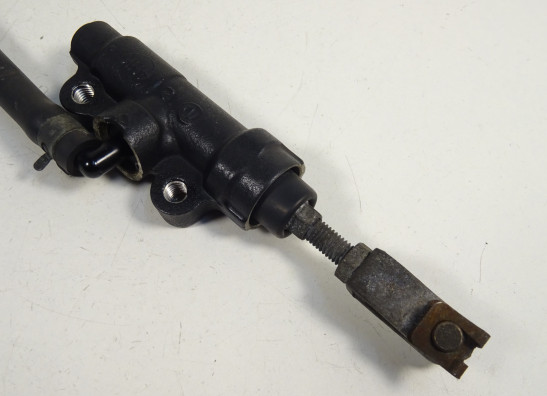 Rempomp achter Triumph Tiger 1050