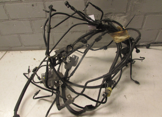 ABS Systeme Honda CBF 600