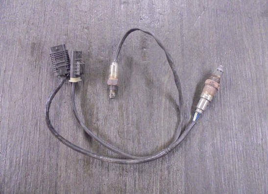 Lambda sensor BMW F 900 XR