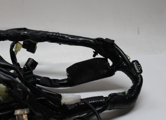 Kabelboom Yamaha Tenere 700