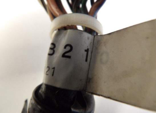 Sicherungkasten Triumph Trophy 900