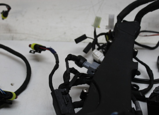 Kabelboom Aprilia RS 660