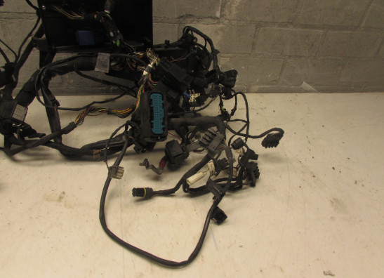 Kabelboom BMW K 1200 RS