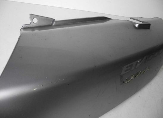 Linker achterkant Aprilia Caponord 1000