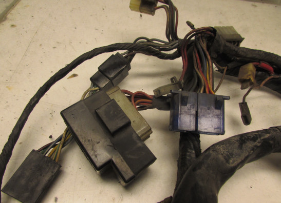 Wire Harness Yamaha FJ 1200