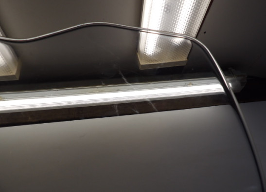 Kuipruit Yamaha Overige Yamaha