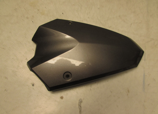 Verkleidungsteil Kawasaki Z 1000
