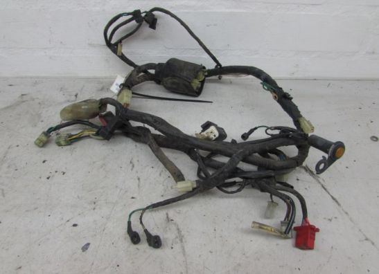 Kabelboom Honda XL 600