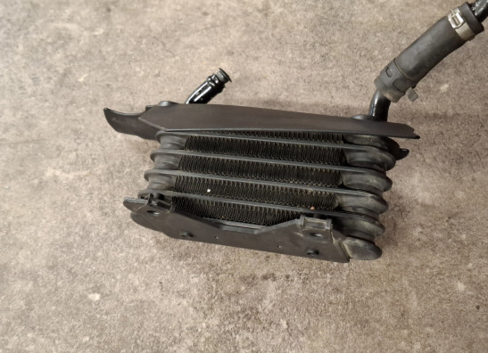 Olkuhler BMW R 1150 R