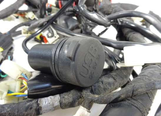 Kabelbaum Aprilia Dorsoduro 750