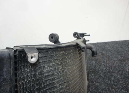 Kuhler Honda CBR 900 RR