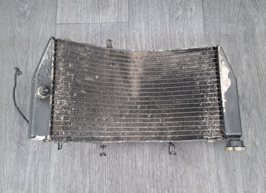 Kuhler Honda CBR Fireblade