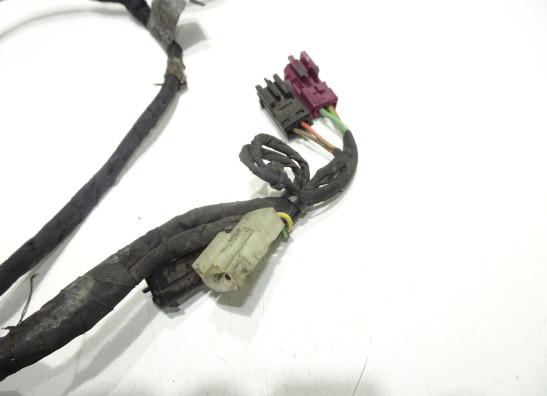 Kabelboom voor BMW F 650 GS