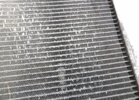 Radiator Kawasaki Z 1000 Sx