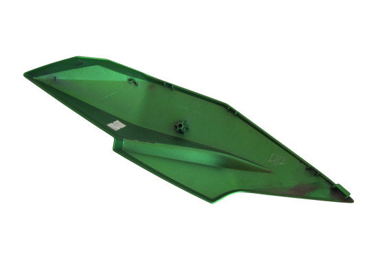 Kanzel links Kawasaki Z 300