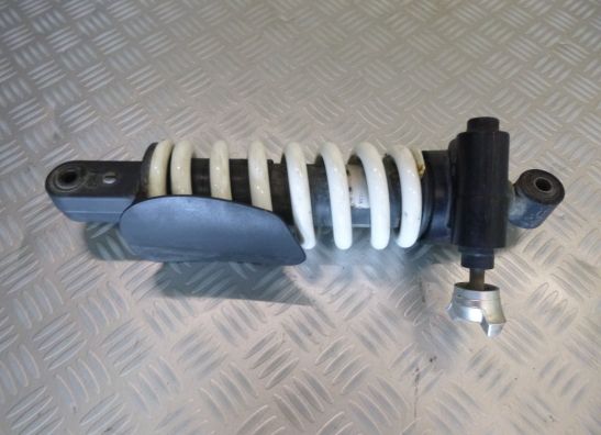 Stossdampfer hinten BMW R Nine T