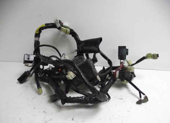 Kabelbaum Yamaha FZ6
